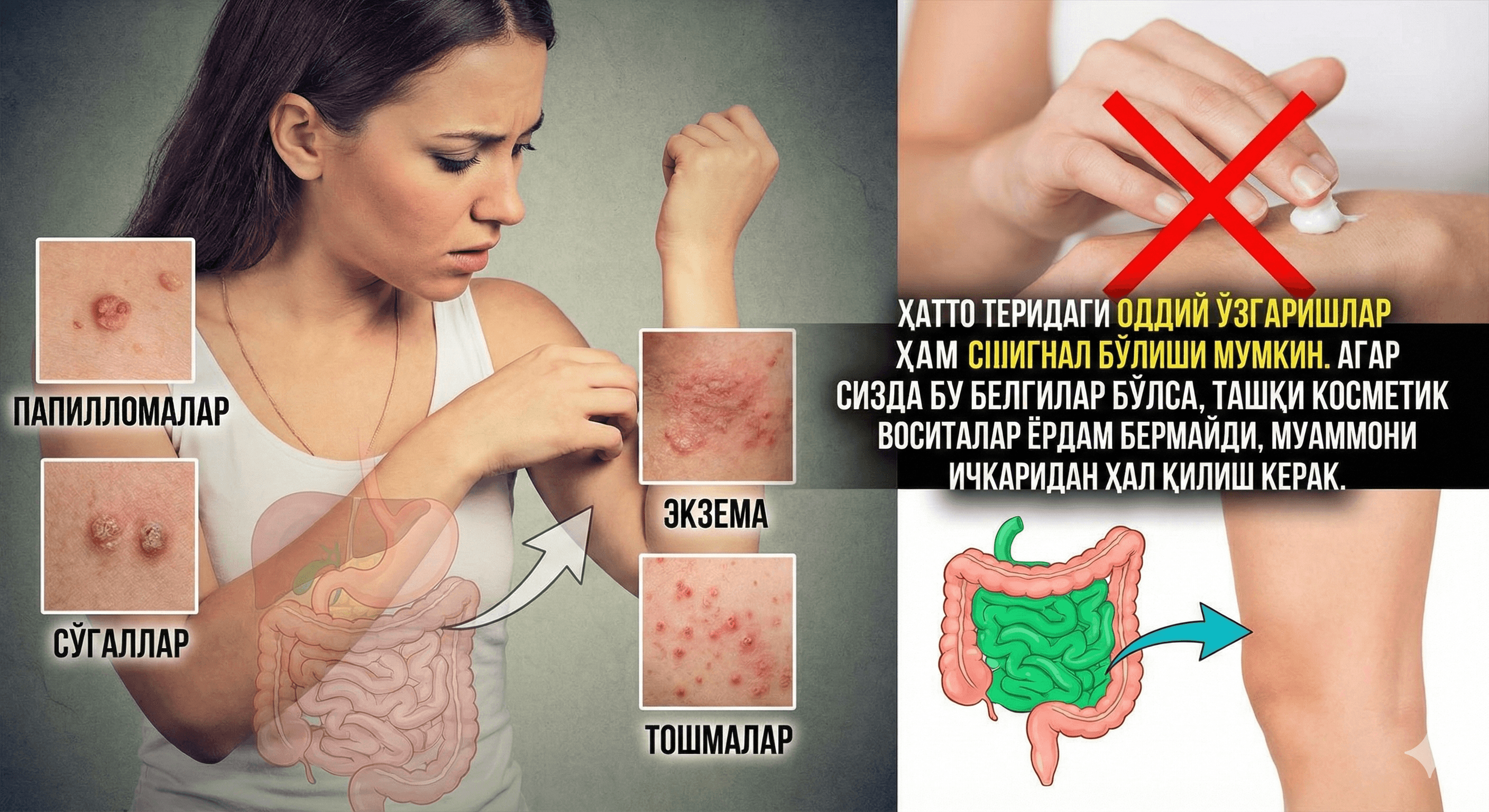 Теридаги белгилар